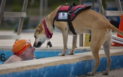 What is Animal-Assisted Therapy for humans?