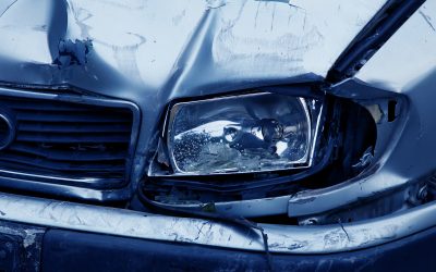 Whose fault is it if a car hits your dog?