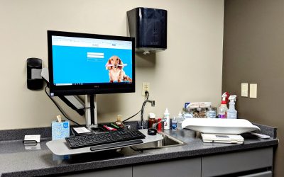 How To Choose the Best Veterinarian Near Me