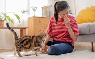 Your Child Has A Pet Allergy But Wants A Pet: What To Do