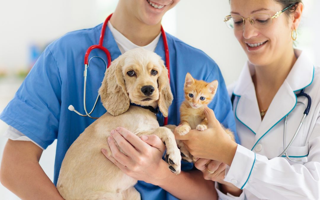The Most Important Vaccines to Give a New Pet
