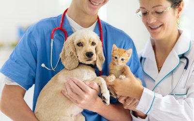 The Most Important Vaccines to Give a New Pet