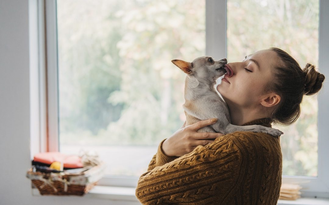 Are You Ready for Your First Pet?
